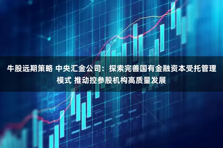 牛股远期策略 中央汇金公司：探索完善国有金融资本受托管理模式 推动控参股机构高质量发展