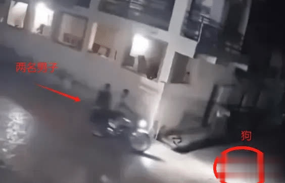 仁信配资 男子骑摩托路口突然停车跑，以为偷狗，没想到狮子进村了
