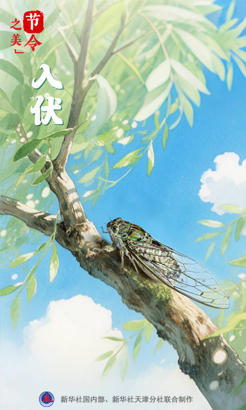 华信投资 连续10年都是40天的纪录被终结！今年“三伏”30天！